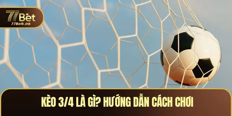 Kèo 3/4 Là Gì? Hướng Dẫn Cách Chơi Và Mẹo Nhận Định Chuẩn