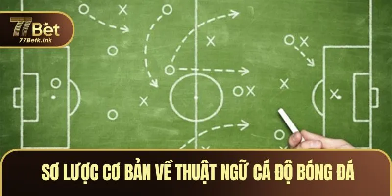 Sơ lược cơ bản về thuật ngữ cá độ bóng đá